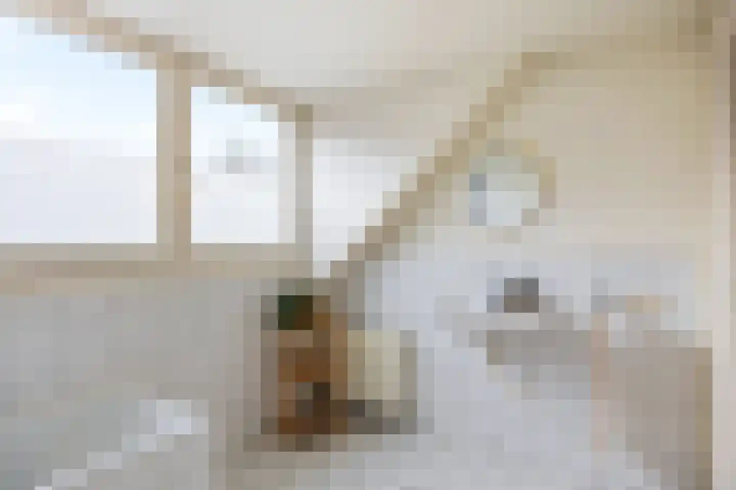 Dionysiusstraat 1 Roermond thumbnail 29