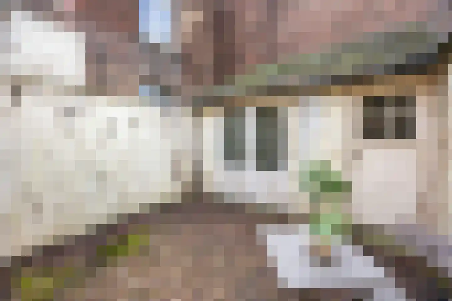 Dionysiusstraat 1 Roermond thumbnail 33