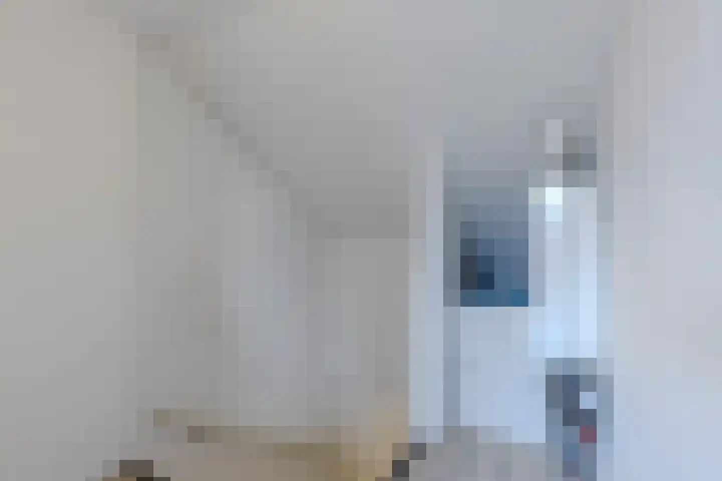 Dionysiusstraat 15 Tilburg thumbnail 25