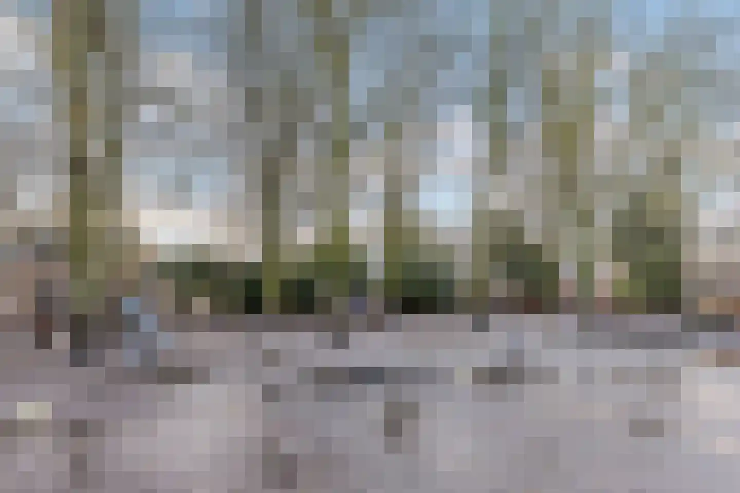 Dionysiusstraat 15 Tilburg thumbnail 41
