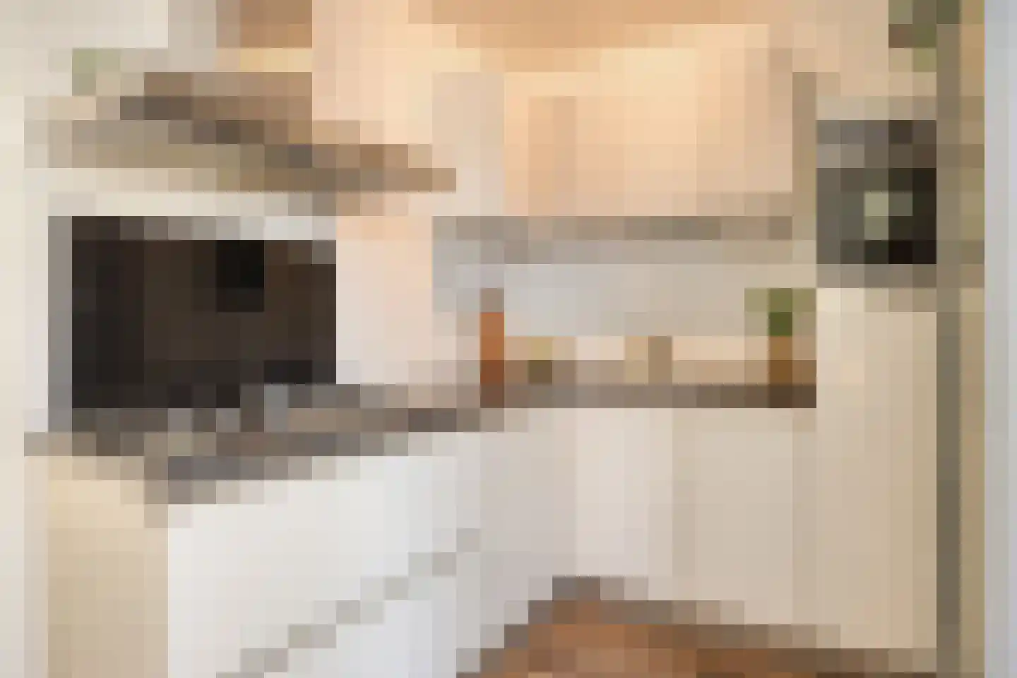 Dionysiusstraat 16 Swalmen thumbnail 22