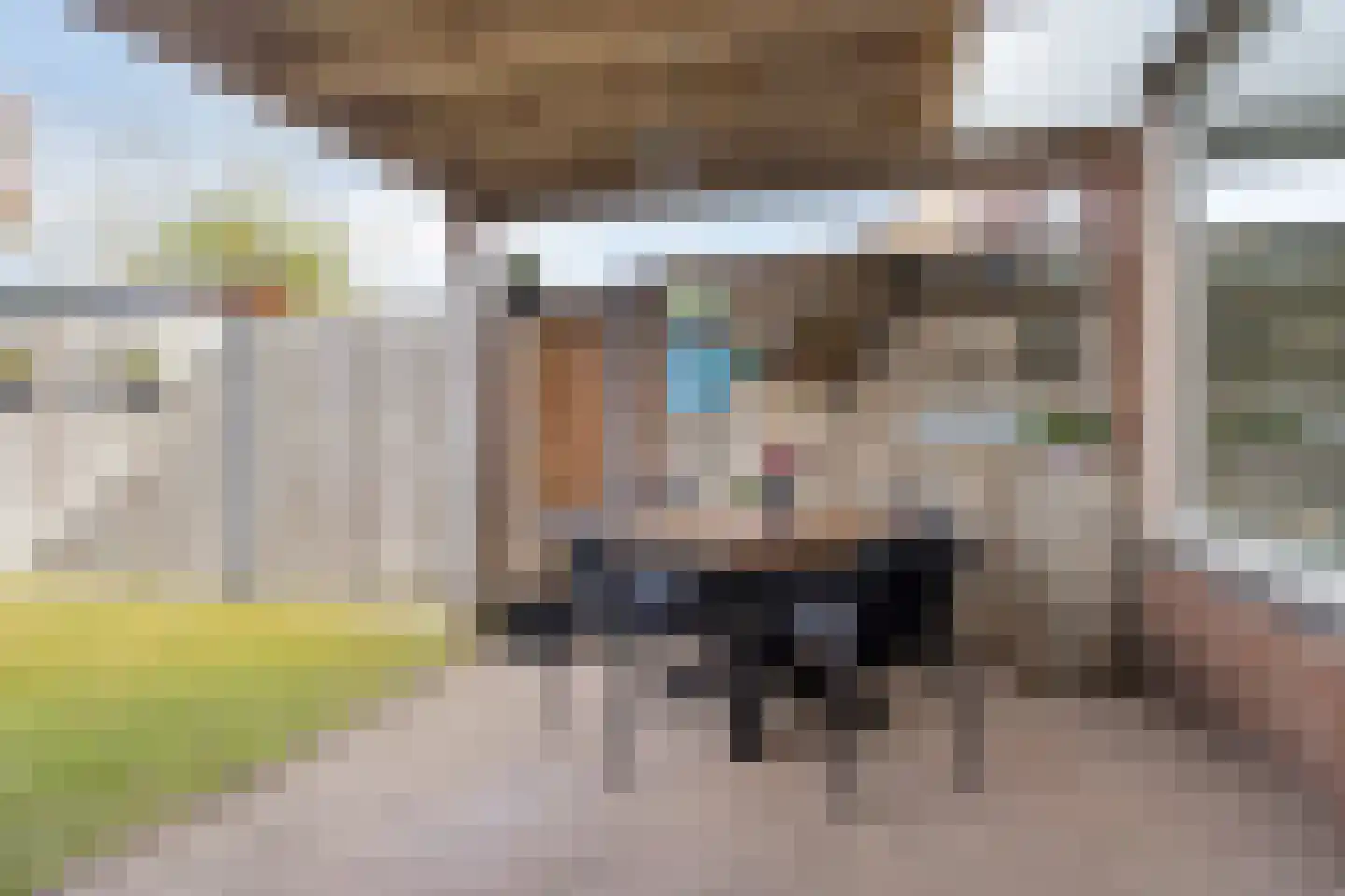 Dionysiusstraat 16 Swalmen thumbnail 38