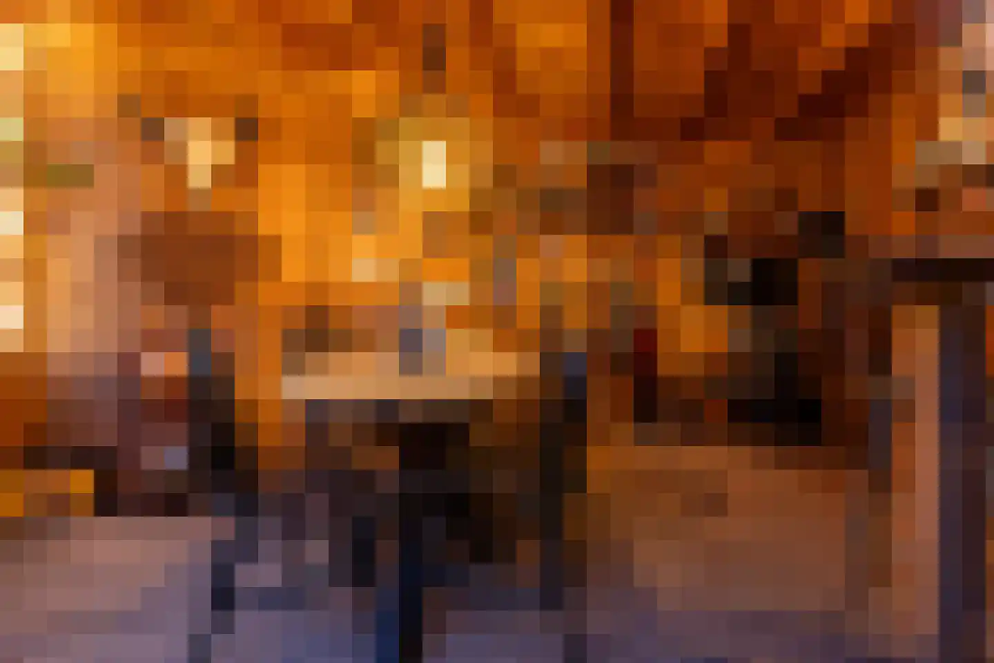 Dionysiusstraat 16 Swalmen thumbnail 43