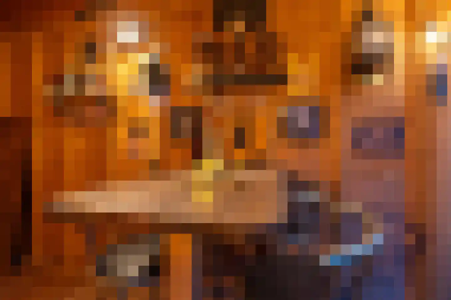 Dionysiusstraat 16 Swalmen thumbnail 44