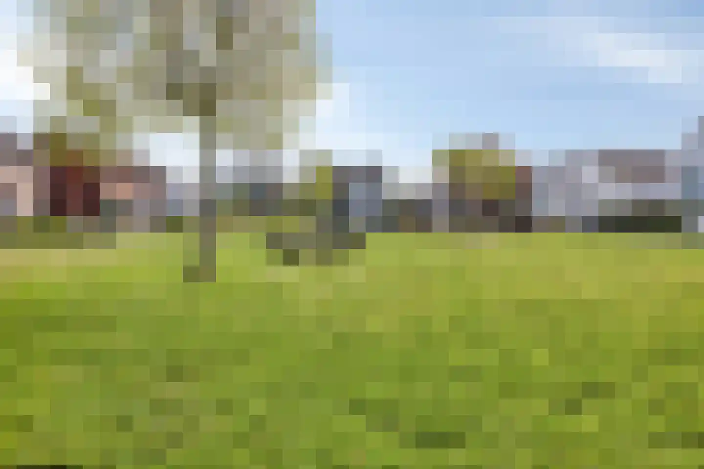 Dionysiusstraat 16 Swalmen thumbnail 52