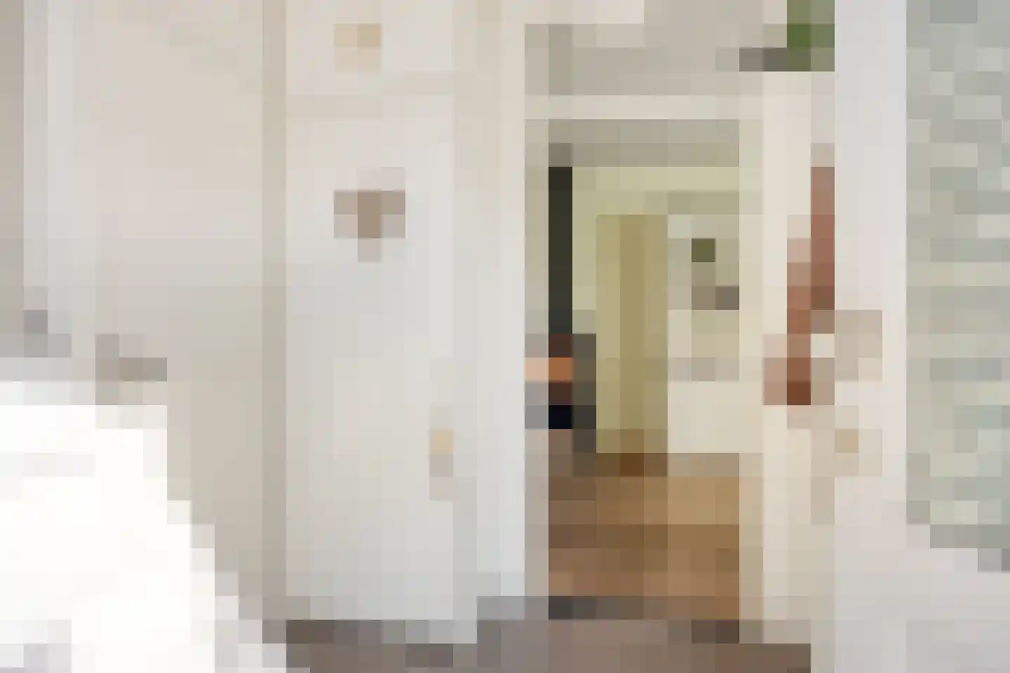 Dionysiusstraat 16 Swalmen thumbnail 8