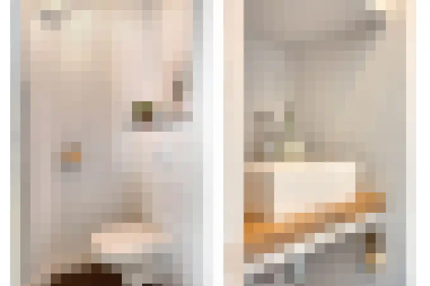 Dionysiusstraat 16 Swalmen thumbnail 9