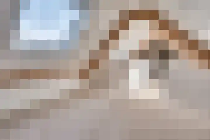 Dionysiusstraat 2 a Ommel thumbnail 24