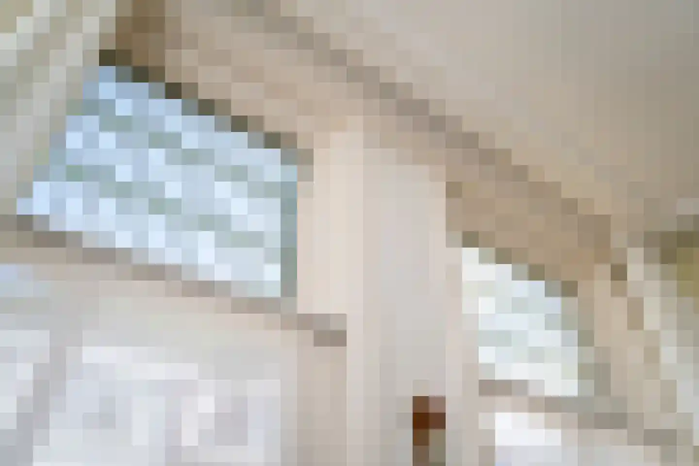 Dionysiusstraat 25 Tilburg thumbnail 10