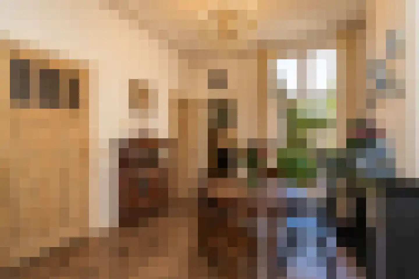 Dionysiusstraat 25 Tilburg thumbnail 14