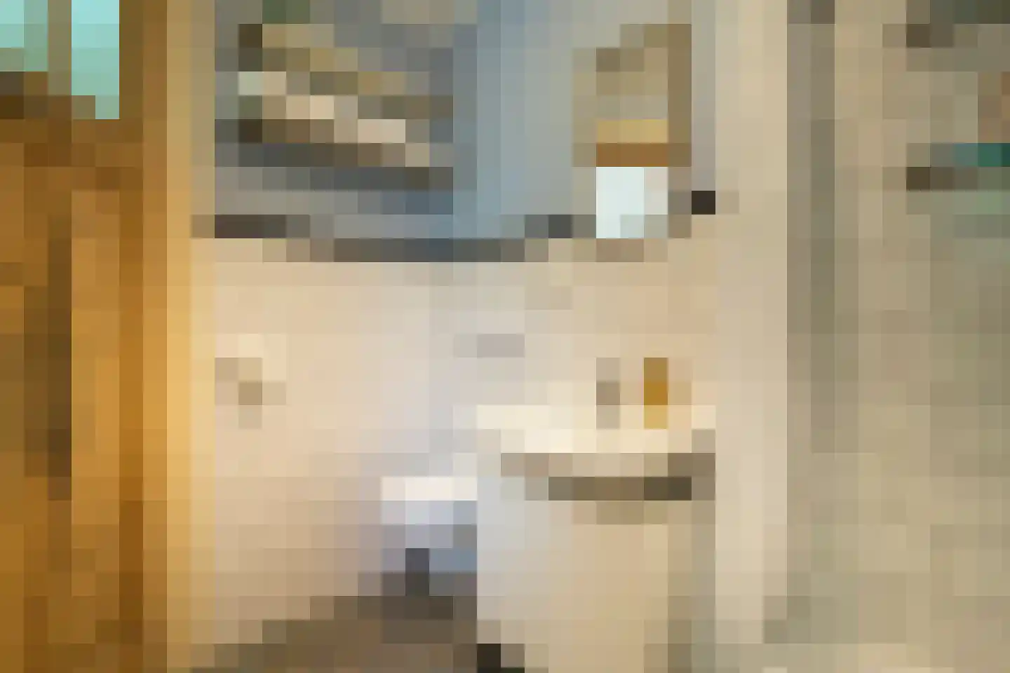 Dionysiusstraat 25 Tilburg thumbnail 20