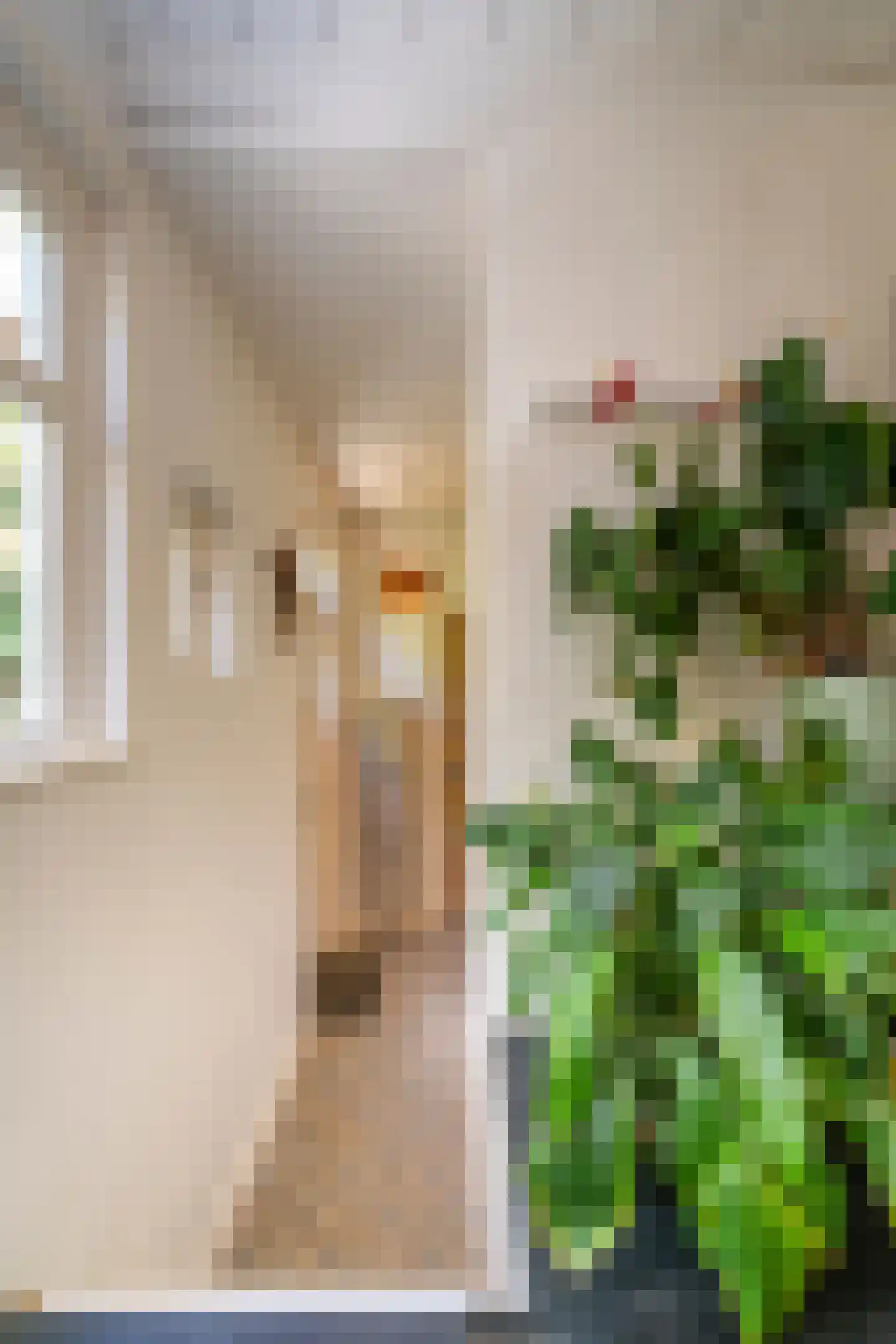 Dionysiusstraat 25 Tilburg thumbnail 23