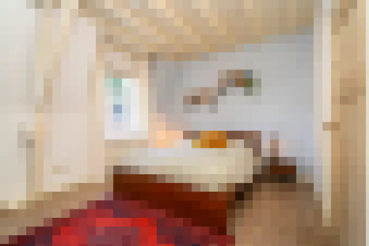 Dionysiusstraat 25 Tilburg thumbnail 25
