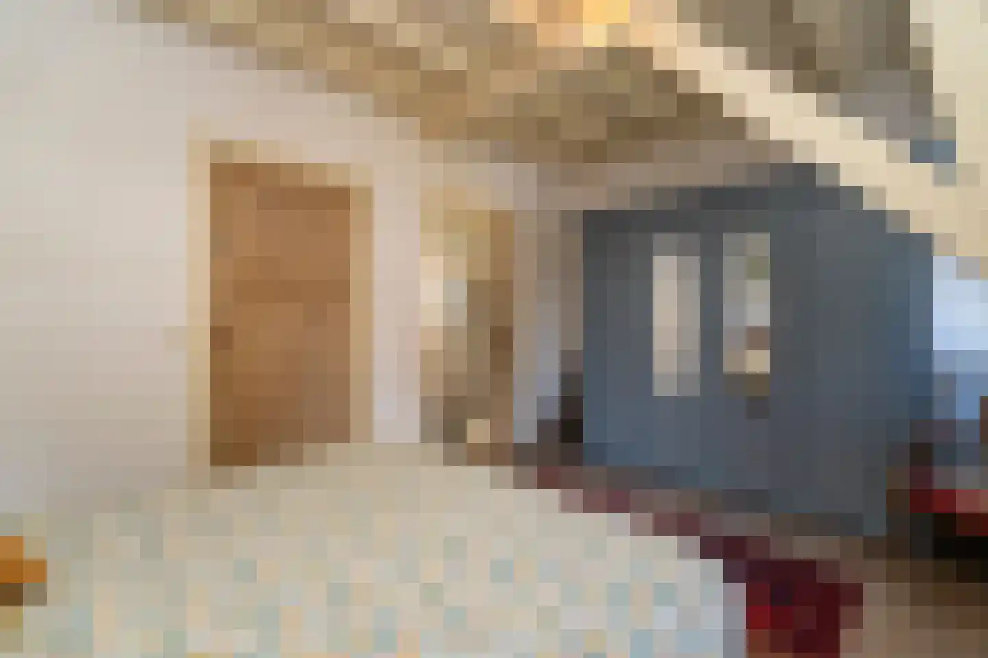 Dionysiusstraat 25 Tilburg thumbnail 27