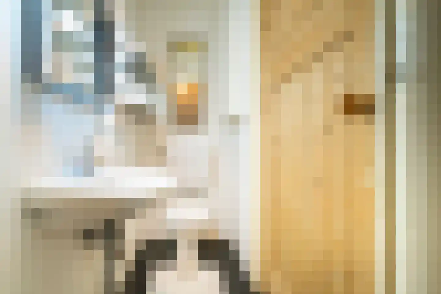 Dionysiusstraat 25 Tilburg thumbnail 29
