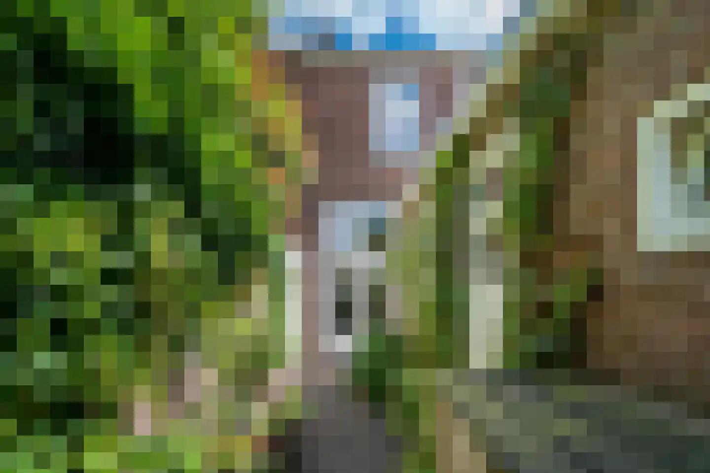 Dionysiusstraat 25 Tilburg thumbnail 35