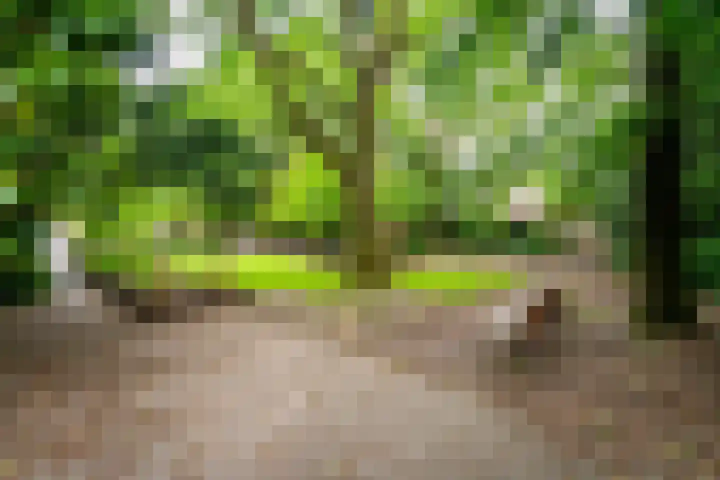 Dionysiusstraat 25 Tilburg thumbnail 36
