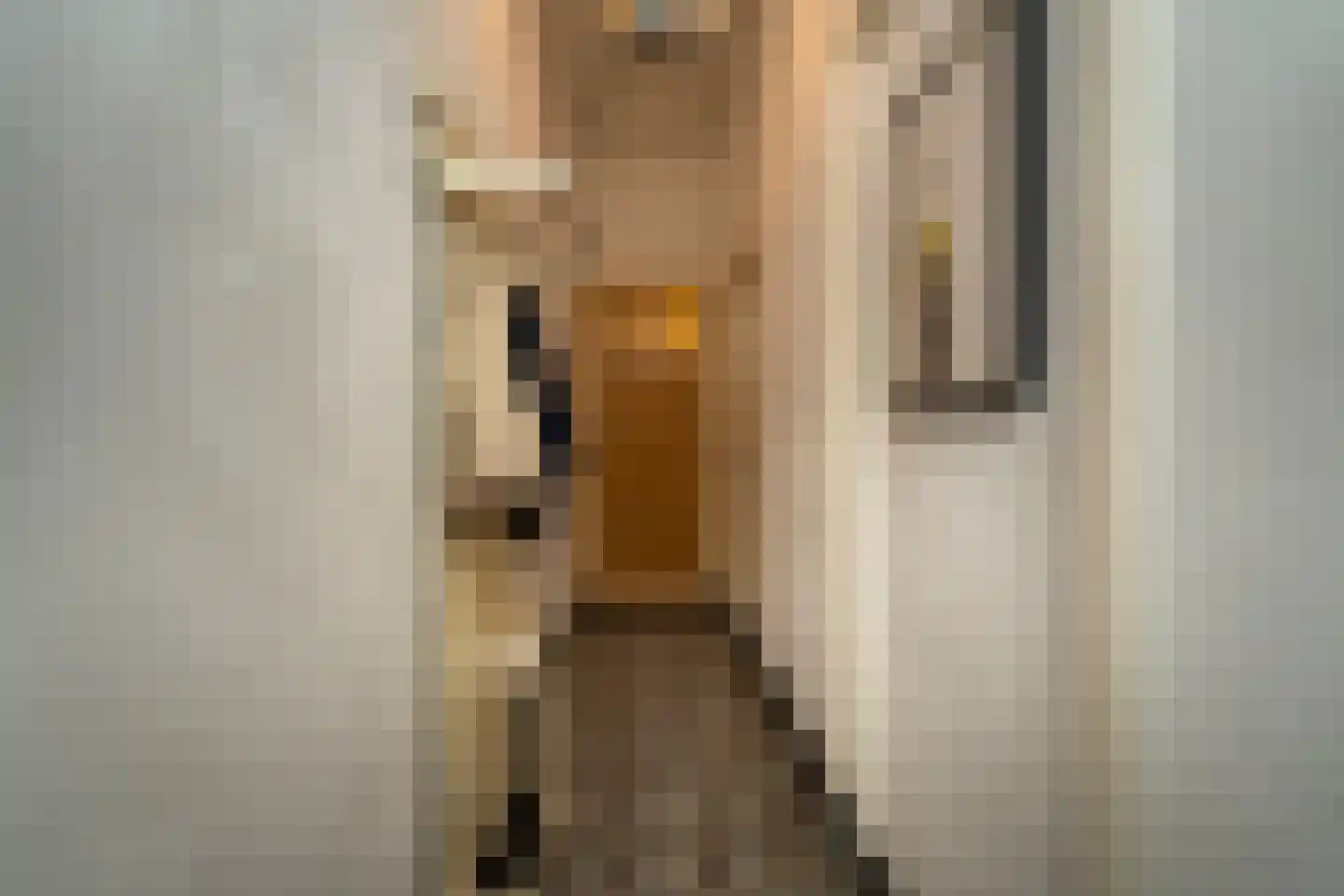 Dionysiusstraat 25 Tilburg thumbnail 7