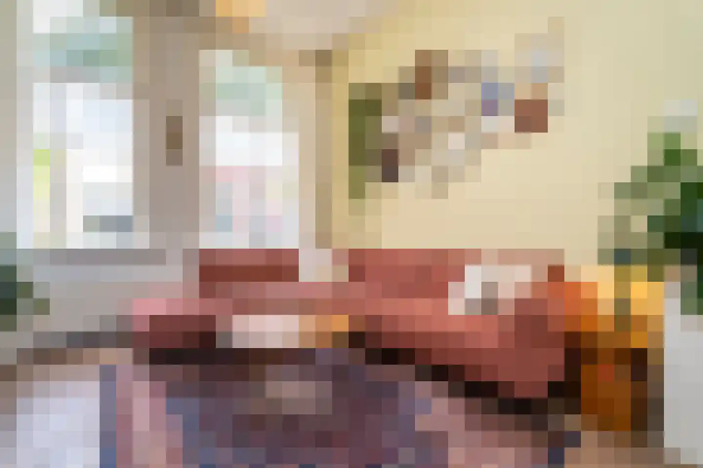 Dionysiusstraat 25 Tilburg thumbnail 9