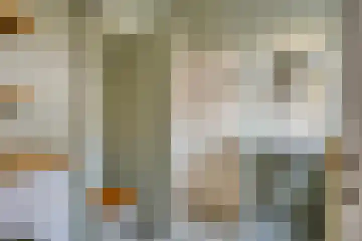 Dionysiusstraat 7 Tilburg thumbnail 11