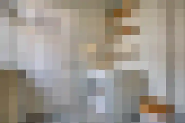 Dionysiusstraat 7 Tilburg thumbnail 13