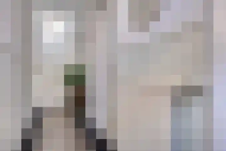 Dionysiusstraat 7 Tilburg thumbnail 14