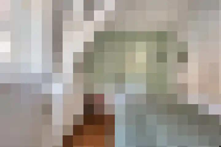 Dionysiusstraat 7 Tilburg thumbnail 16