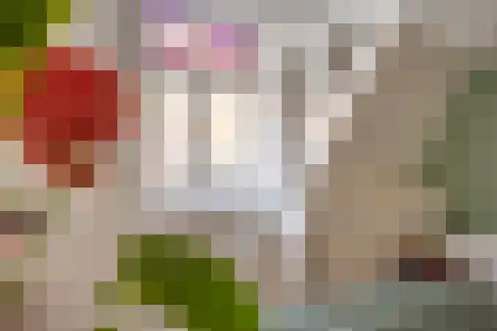 Dionysiusstraat 7 Tilburg thumbnail 18