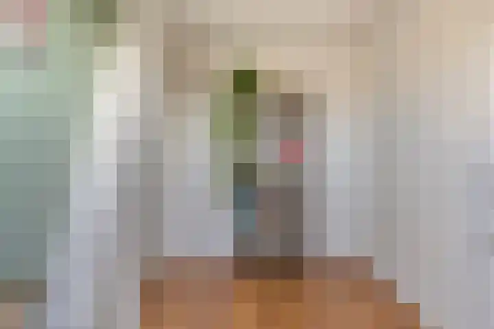 Dionysiusstraat 7 Tilburg thumbnail 21