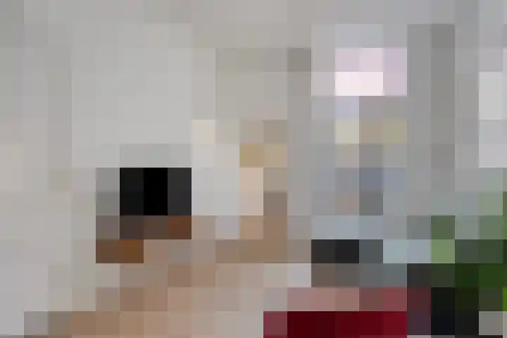 Dionysiusstraat 7 Tilburg thumbnail 4