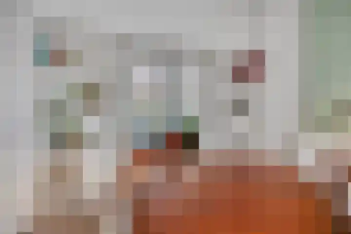Dionysiusstraat 7 Tilburg thumbnail 7