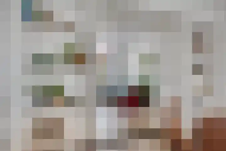 Dionysiusstraat 7 Tilburg thumbnail 8