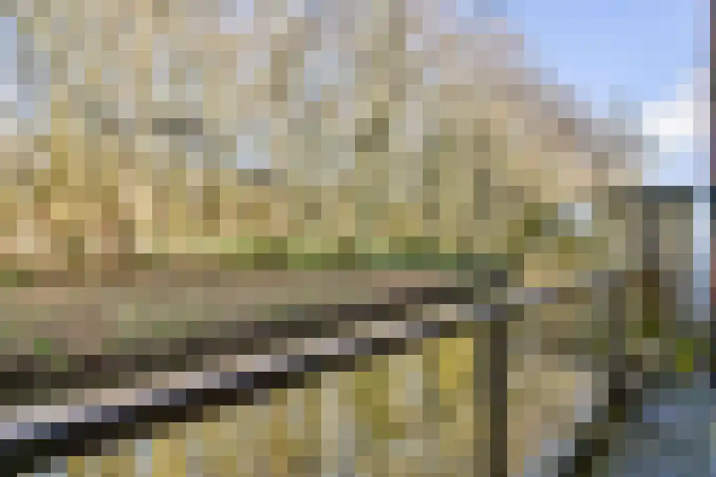 Diopter 124 Amsterdam thumbnail 11