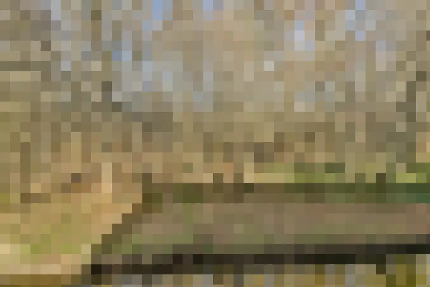 Diopter 124 Amsterdam thumbnail 22