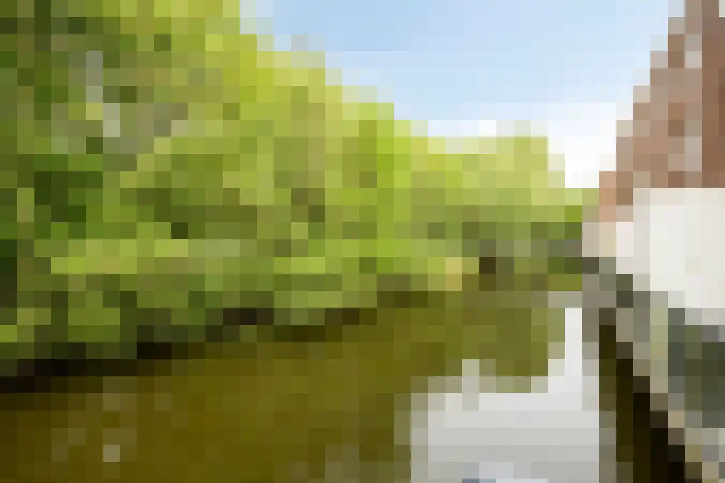 Diopter 182 Amsterdam thumbnail 49