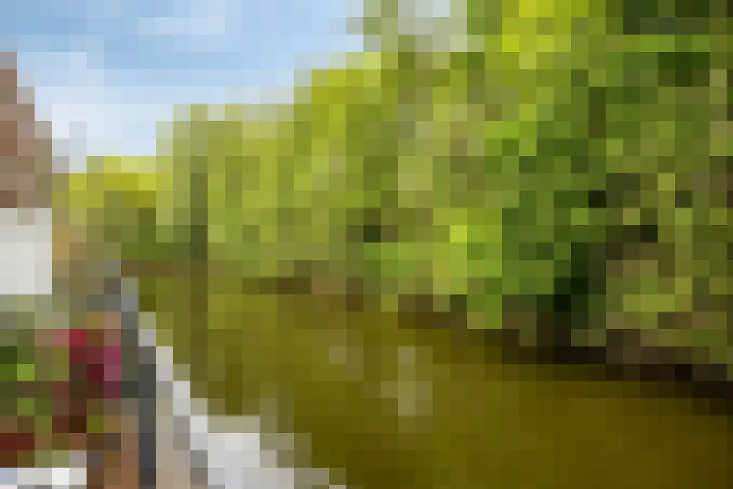 Diopter 182 Amsterdam thumbnail 50