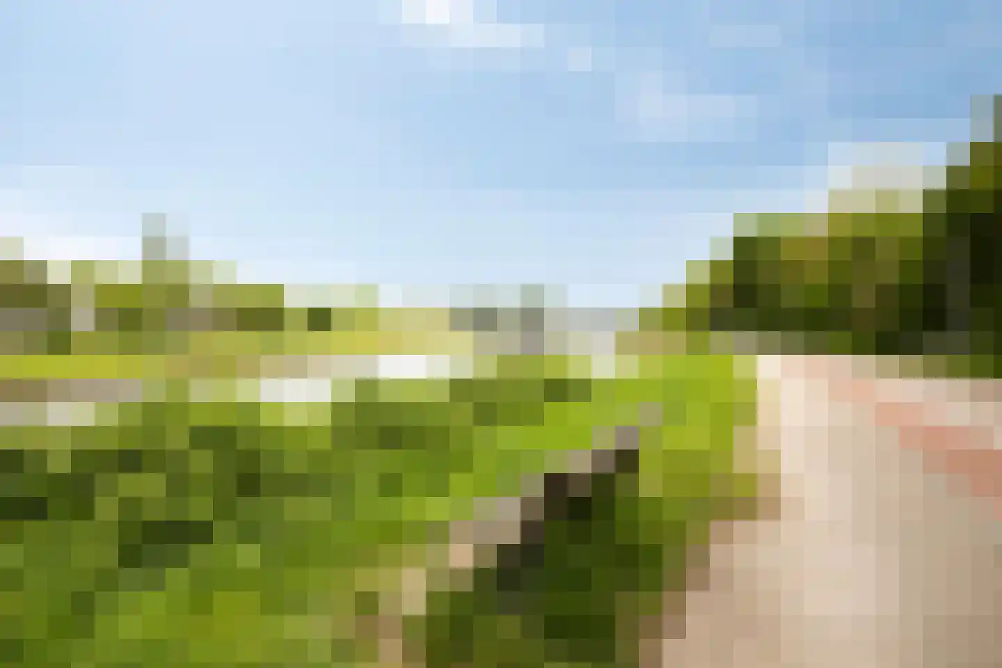 Diopter 182 Amsterdam thumbnail 53