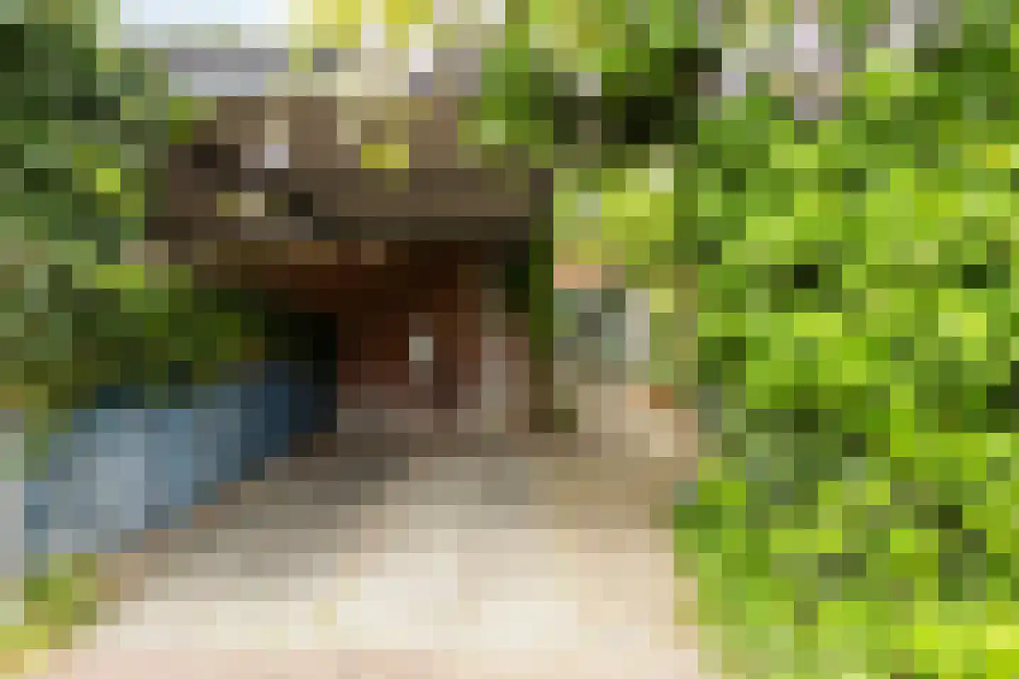 Diopter 182 Amsterdam thumbnail 8