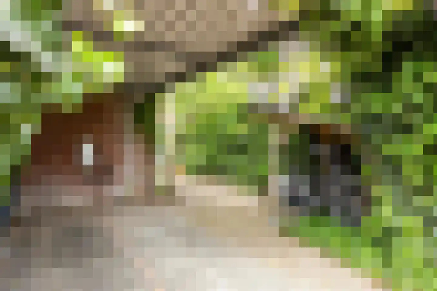 Diopter 182 Amsterdam thumbnail 9