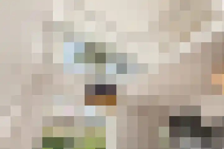 Diopter 202 Amsterdam thumbnail 13