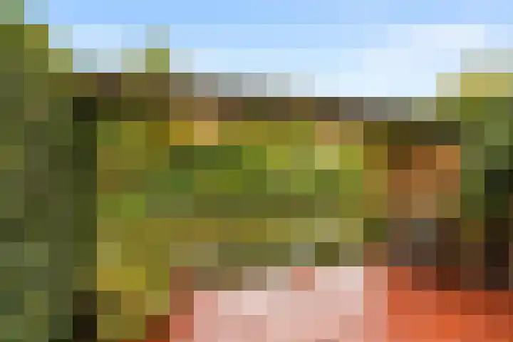 Diopter 202 Amsterdam thumbnail 17