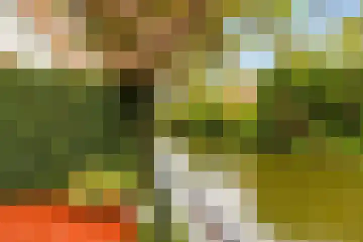 Diopter 202 Amsterdam thumbnail 19