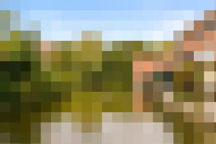 Diopter 202 Amsterdam thumbnail 20