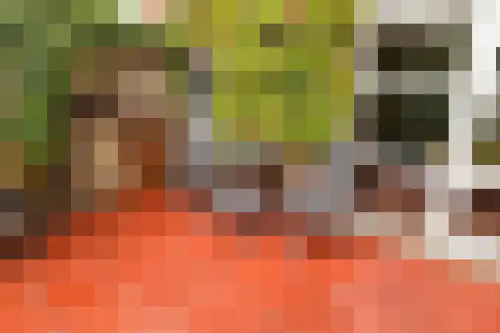 Diopter 202 Amsterdam thumbnail 21