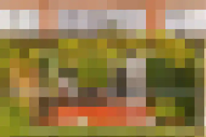 Diopter 202 Amsterdam thumbnail 23