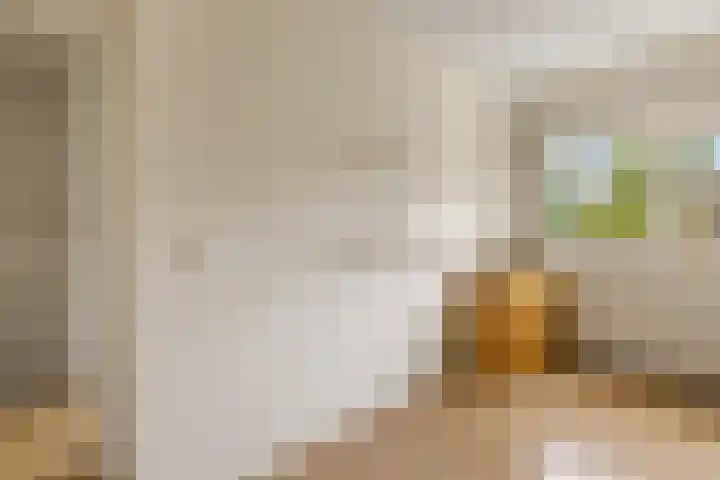 Diopter 202 Amsterdam thumbnail 28