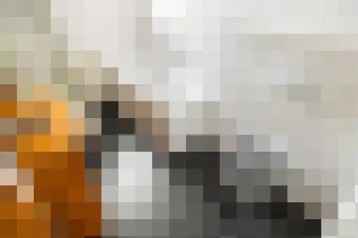 Diopter 202 Amsterdam thumbnail 30