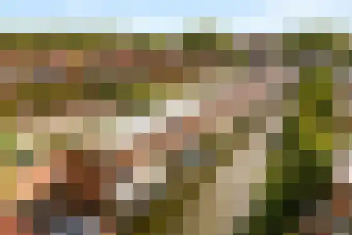 Diopter 202 Amsterdam thumbnail 33