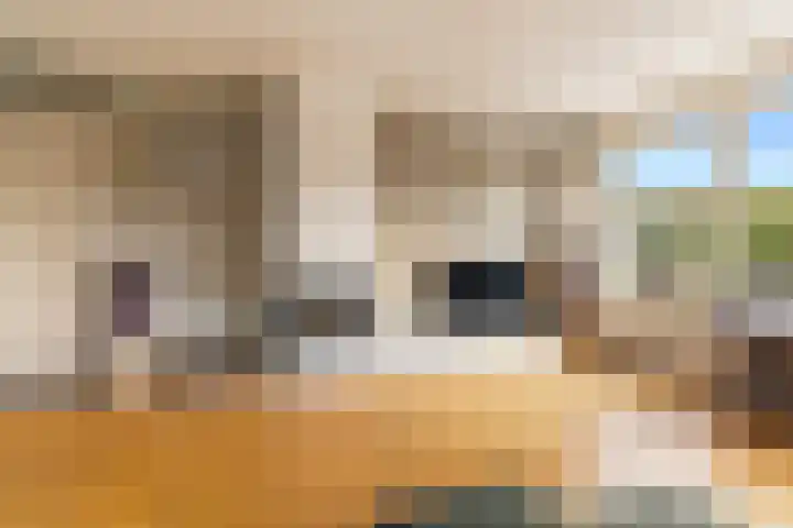 Diopter 202 Amsterdam thumbnail 4