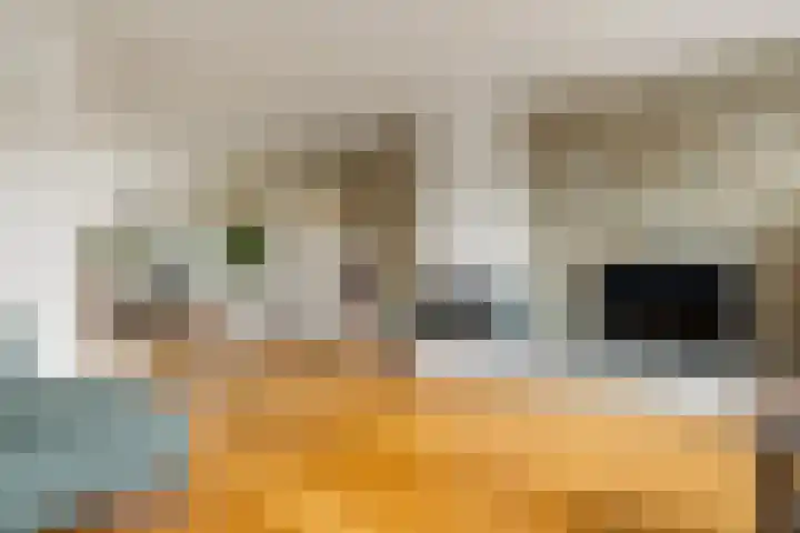 Diopter 202 Amsterdam thumbnail 6